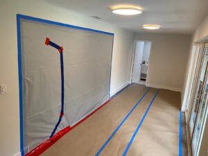 Mold Removal Project in South Florida