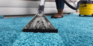 tips for wet carpet