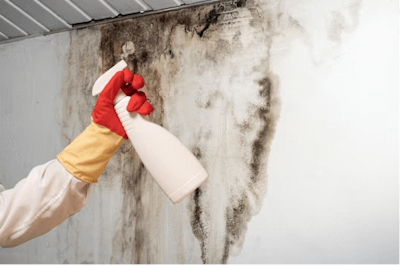 other ways to kill mold