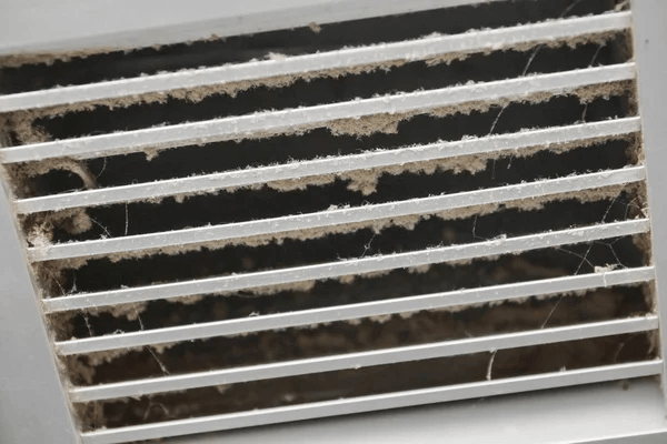 Mold in Air Vent