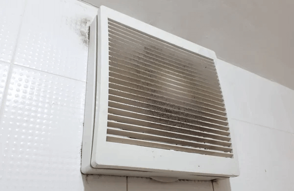 Black mold in Air Vents