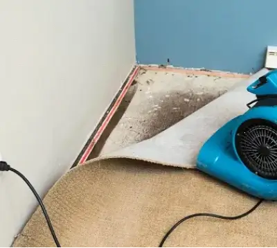 Carpet Cleaning After Flood