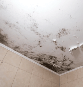 Signs of Mold on Ceiling