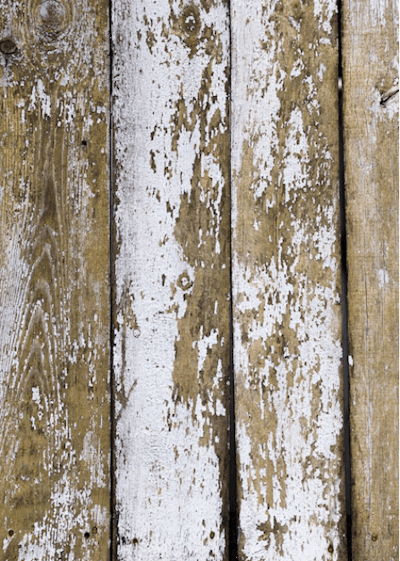 Causes of Mold on Wood