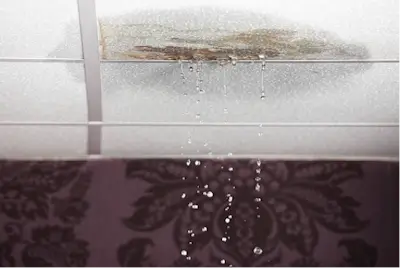 How to Identify a Roof Leak in Simple Steps